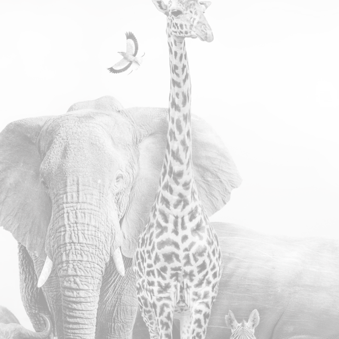 #TheExpert - Thomas Hurreau, un Ingénieur Linux engagé ! cover