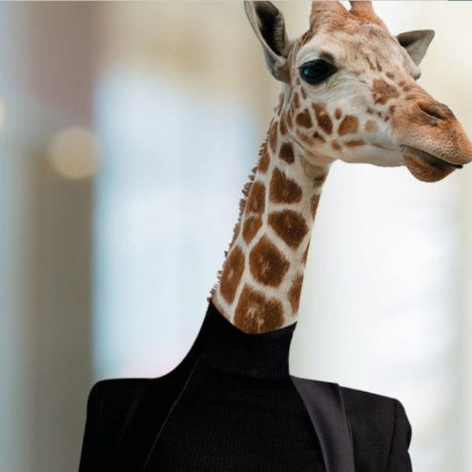 Squad rejoint le CEFCYS et renforce son engagement en faveur de la mixité dans la cybersécurité cover